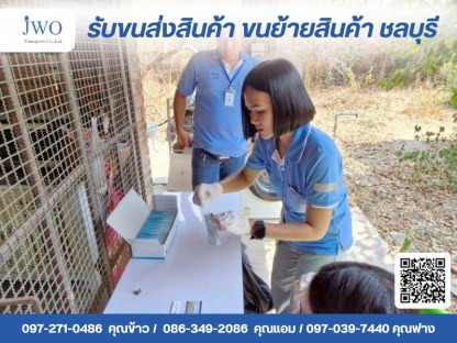 เจดับบลิวโอ ทรานสปอร์ต - บริษัทรับขนส่งสินค้า ขนย้ายสินค้า ชลบุรี - เจดับบลิวโอ ทรายสปอร์ต